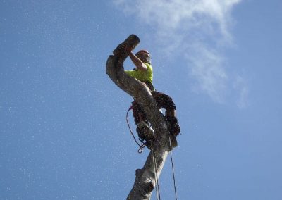 Wiggly-stick-being-removed-in-sections.